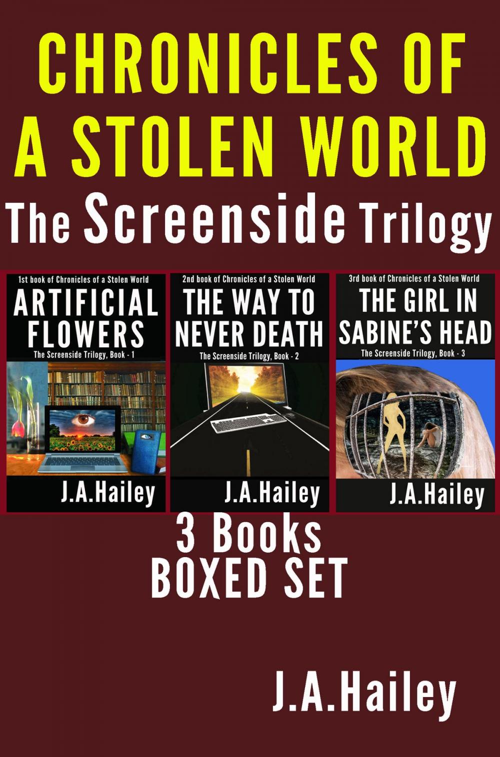 Big bigCover of THE SCREENSIDE TRILOGY