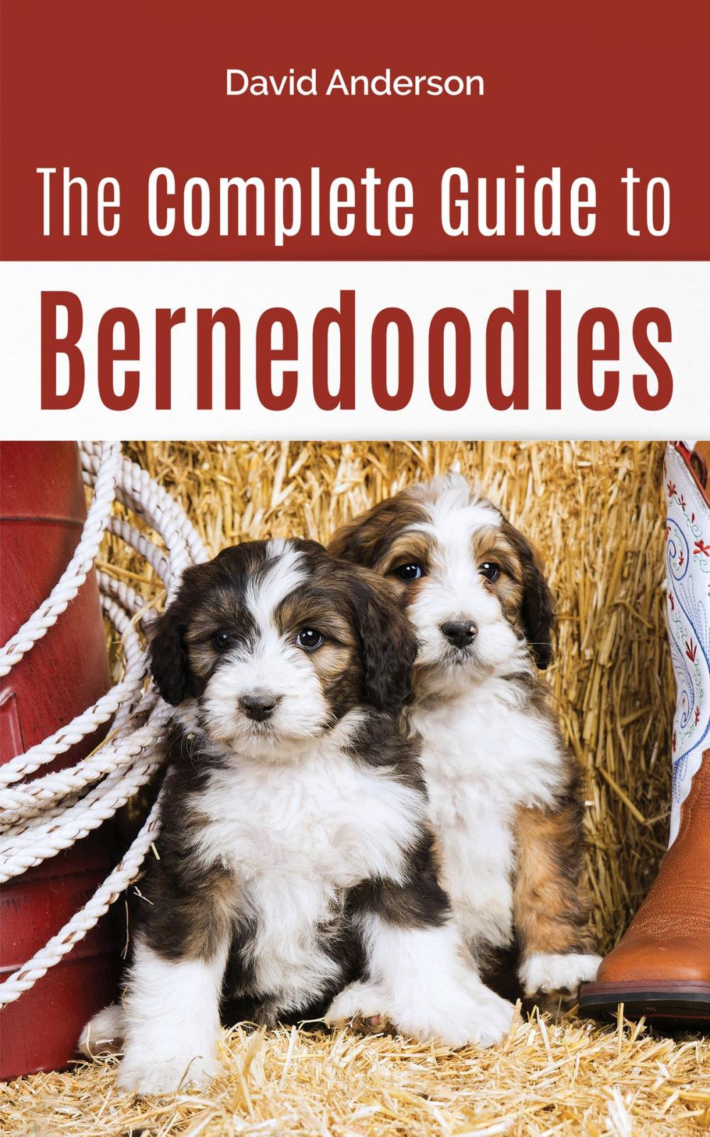 Big bigCover of The Complete Guide to Bernedoodles