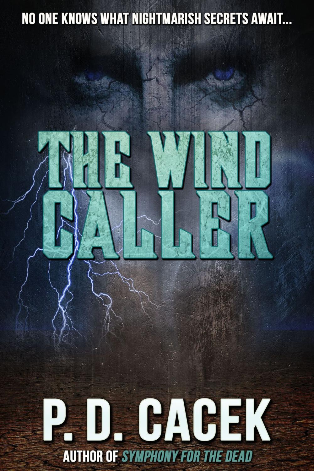 Big bigCover of The Wind Caller