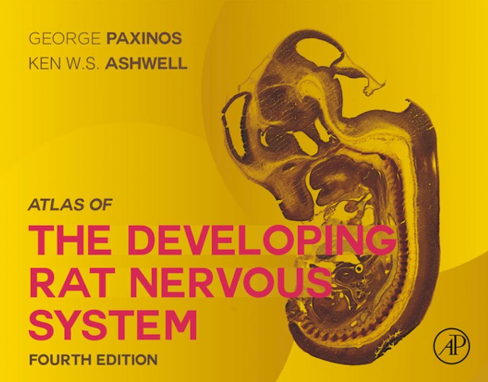 Big bigCover of Atlas of the Developing Rat Nervous System