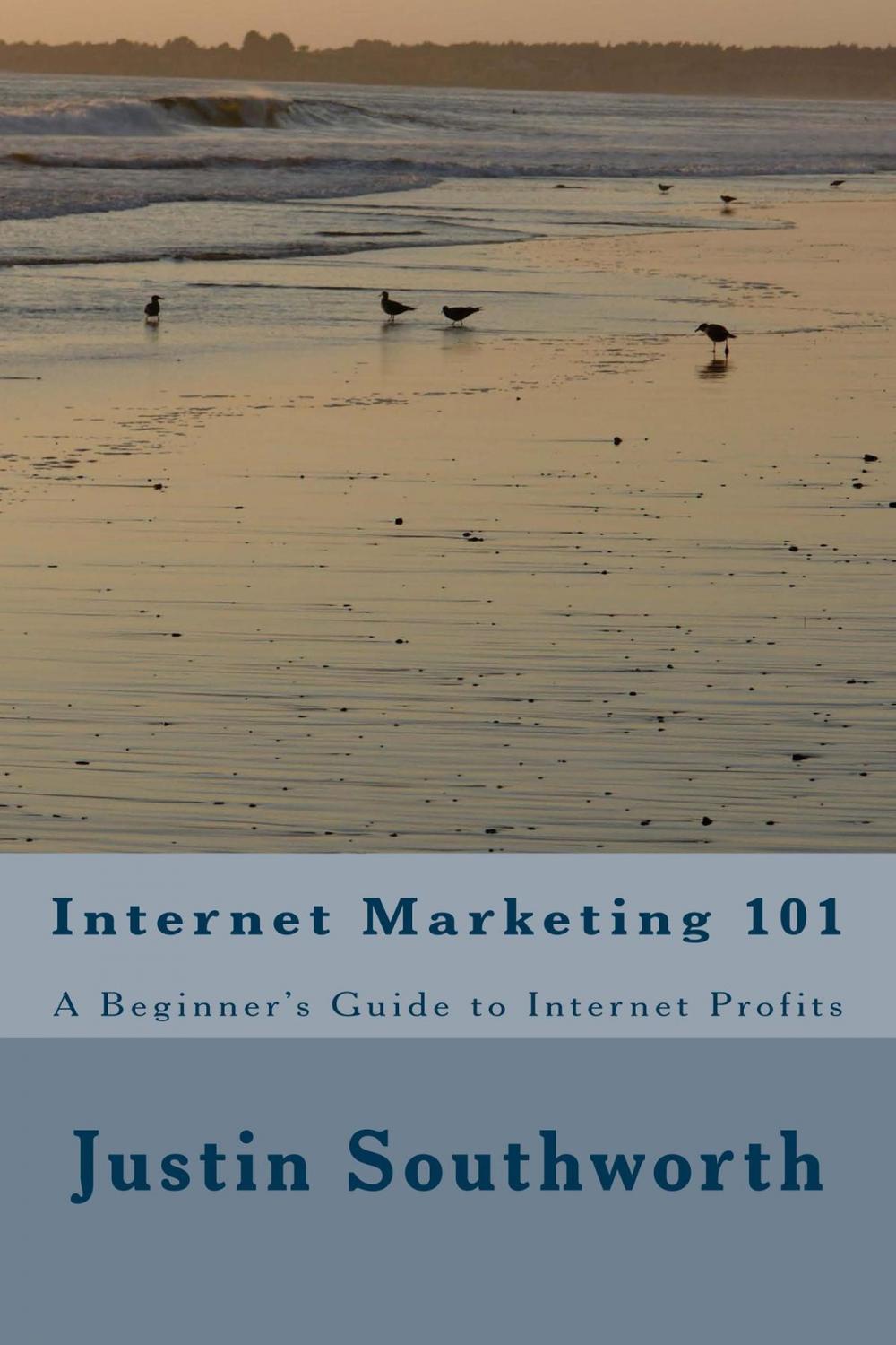 Big bigCover of Internet Marketing 101: A Beginner's Guide to Internet Profits