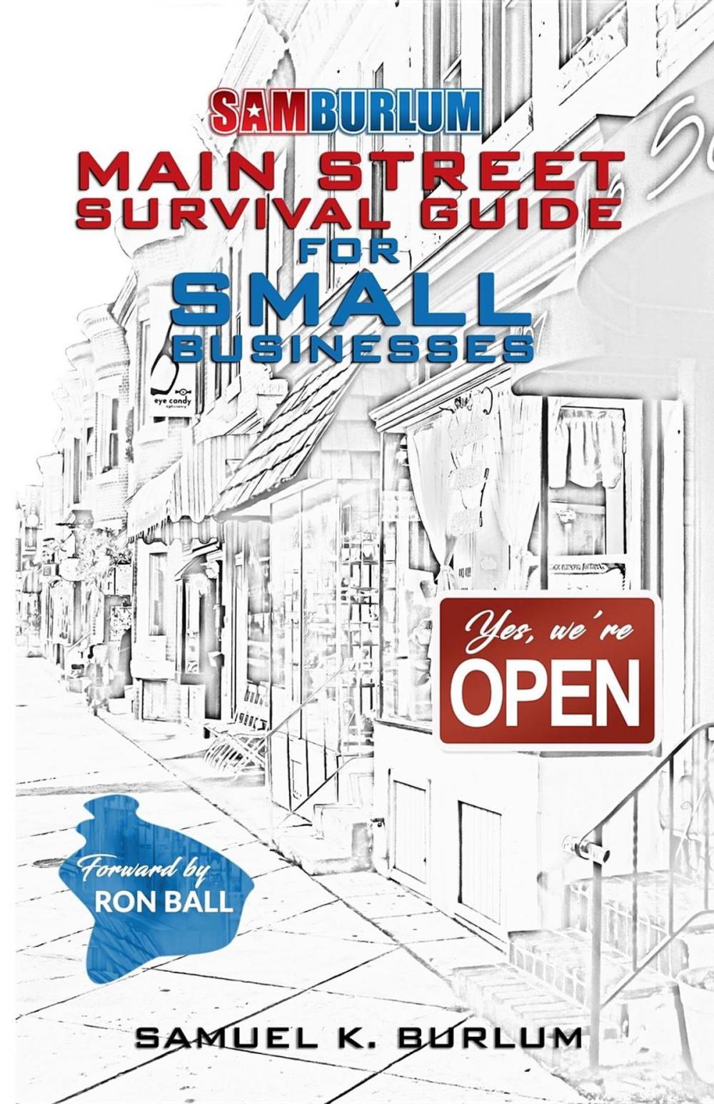 Big bigCover of Main Street Survival Guide for Small Businesses: