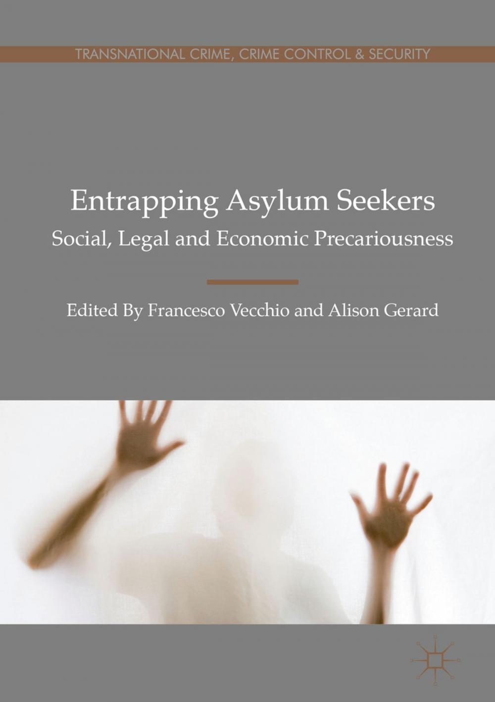 Big bigCover of Entrapping Asylum Seekers