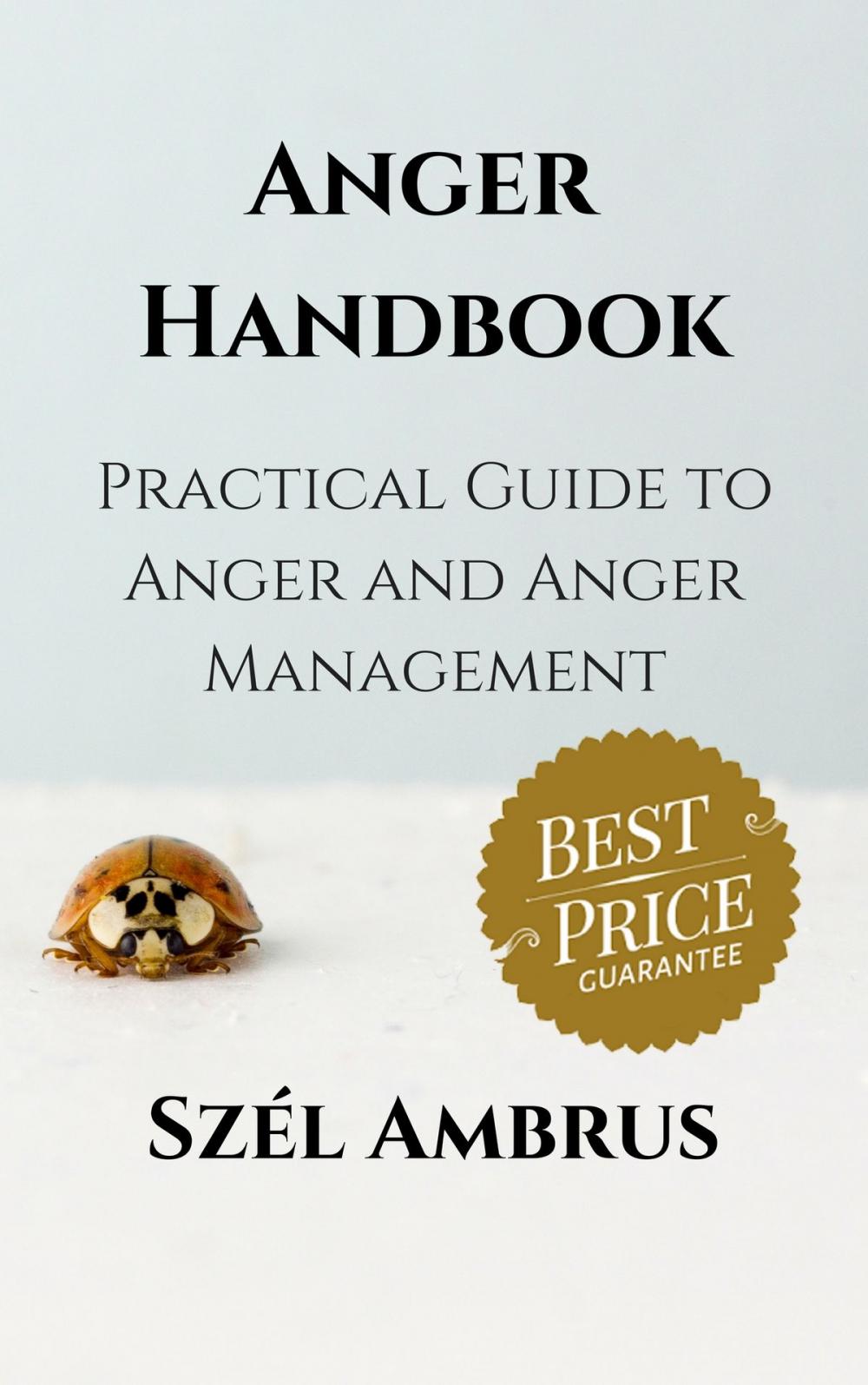 Big bigCover of Anger Handbook: Practical guide to anger and anger management