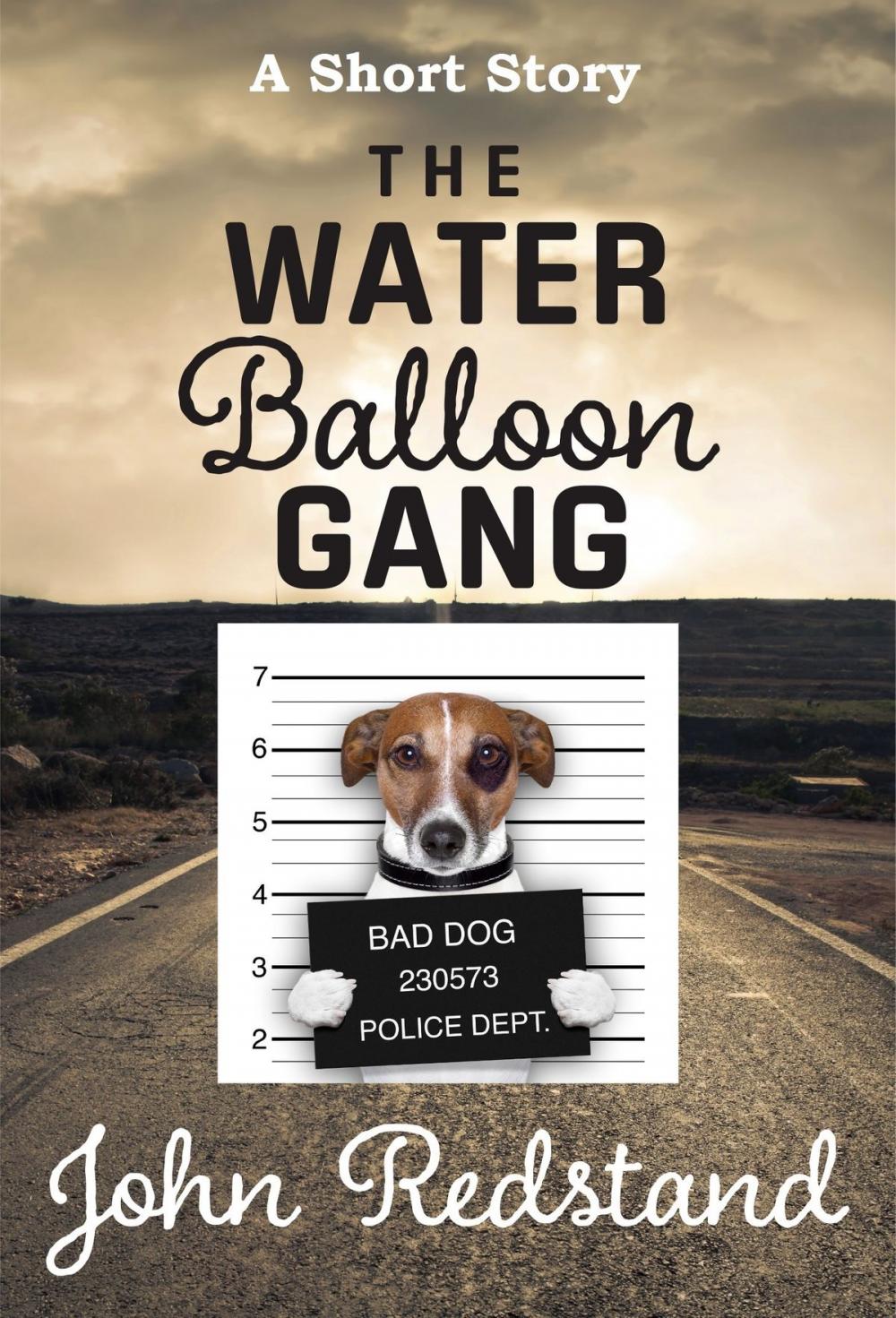 Big bigCover of The Water Balloon Gang