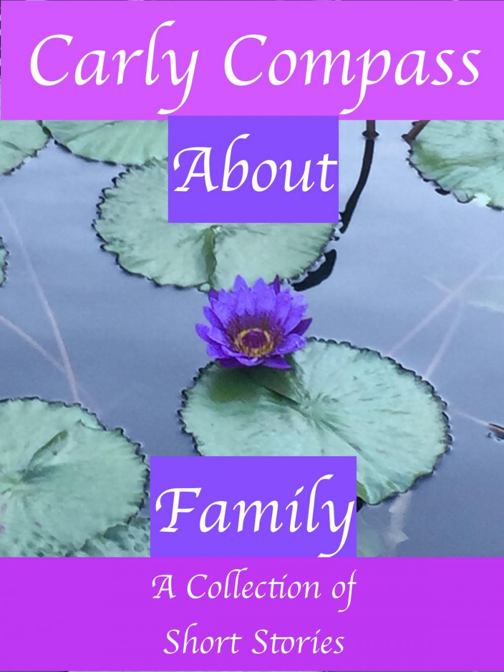Big bigCover of About Family, A Collection of Short Stories