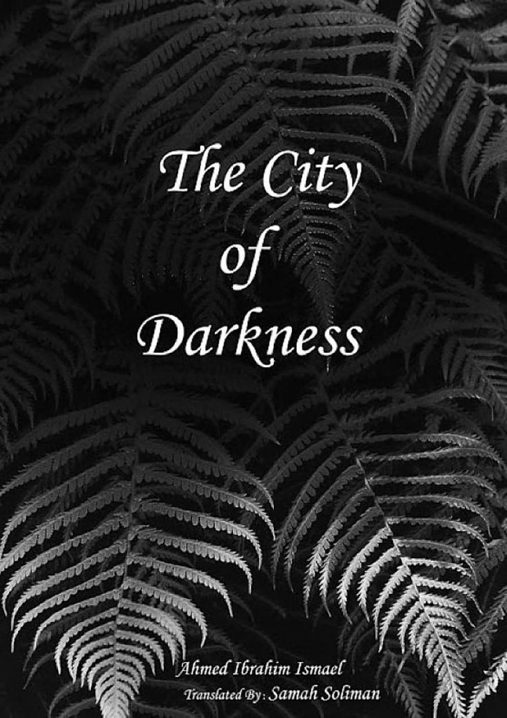 Big bigCover of The City of Darkness