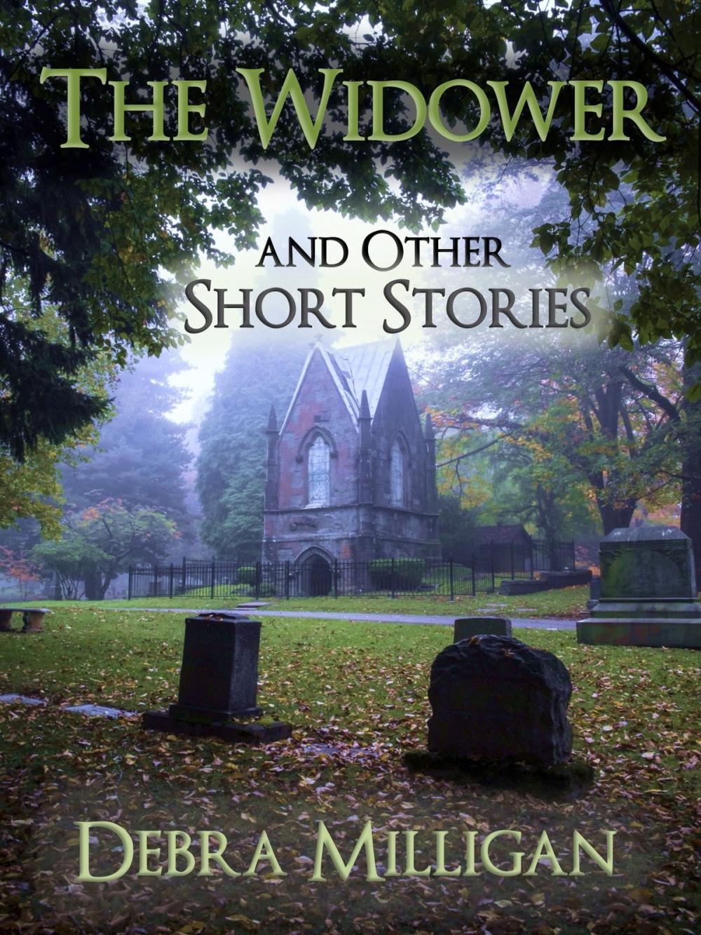 Big bigCover of The Widower and other Short Stories
