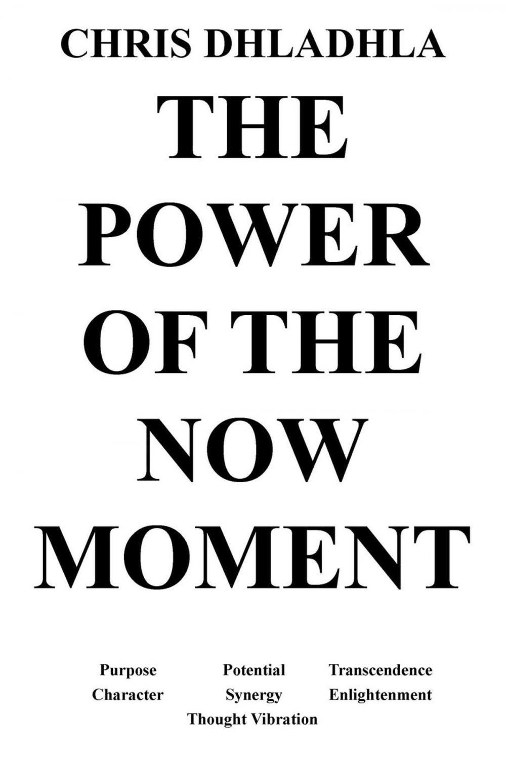 Big bigCover of The Power of the Now Moment