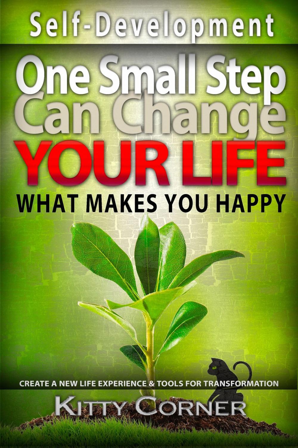 Big bigCover of One Small Step Can Change Your Life: What Makes You Happy