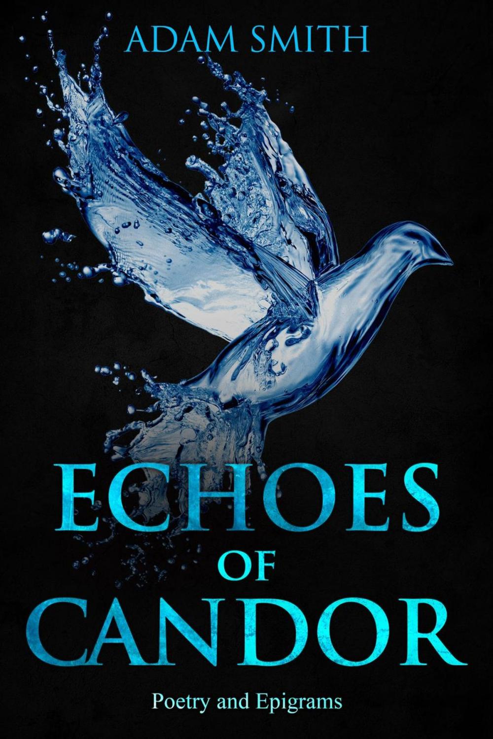 Big bigCover of Echoes of Candor Poetry and Epigrams