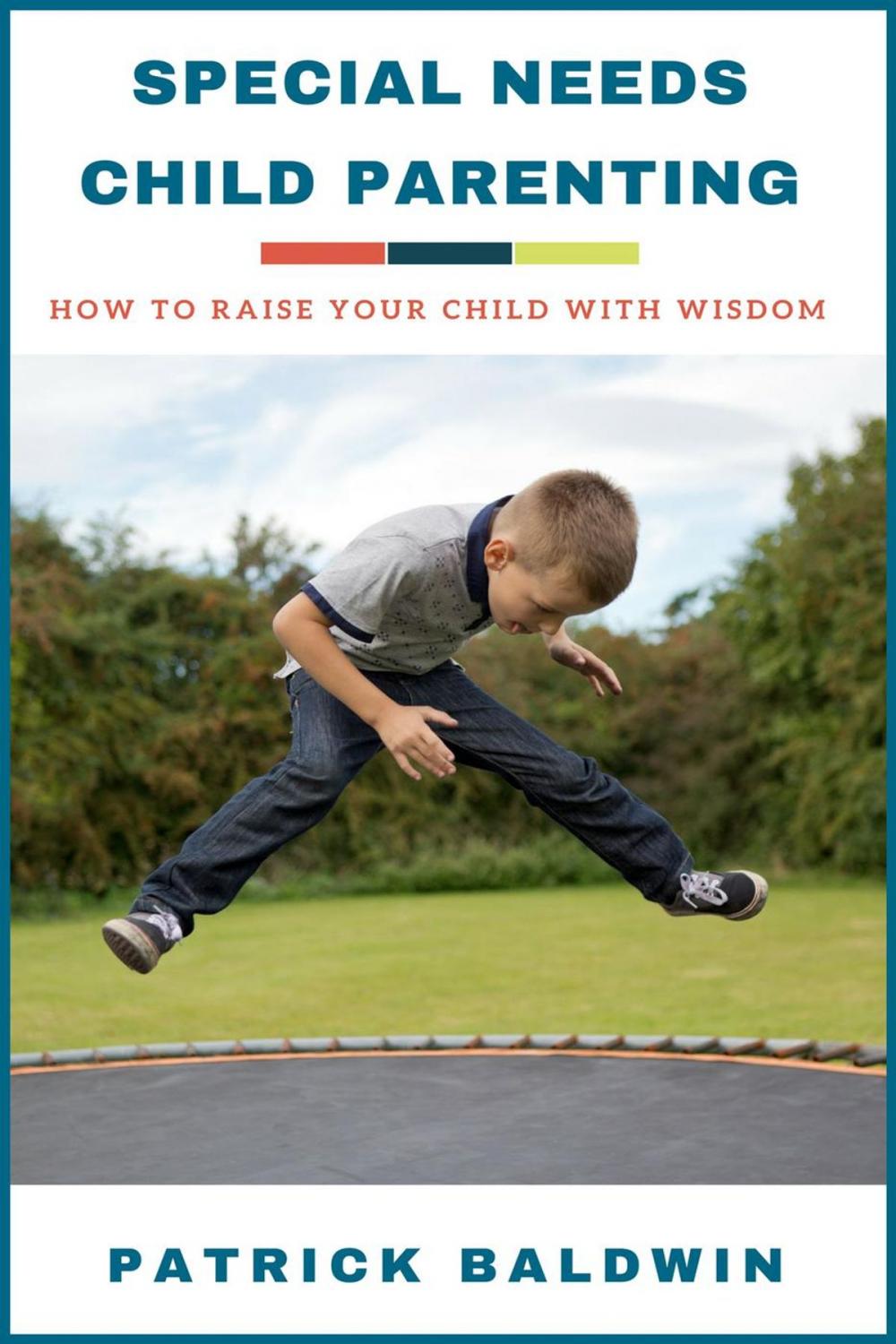 Big bigCover of Special Needs Child Parenting: How to Raise Your Child with Wisdom