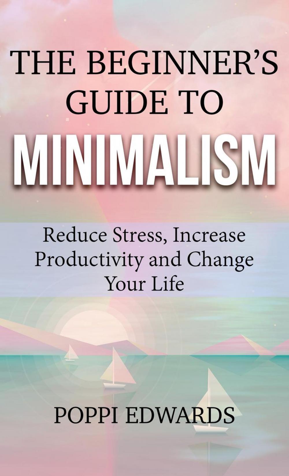 Big bigCover of The Beginner's Guide to Minimalism
