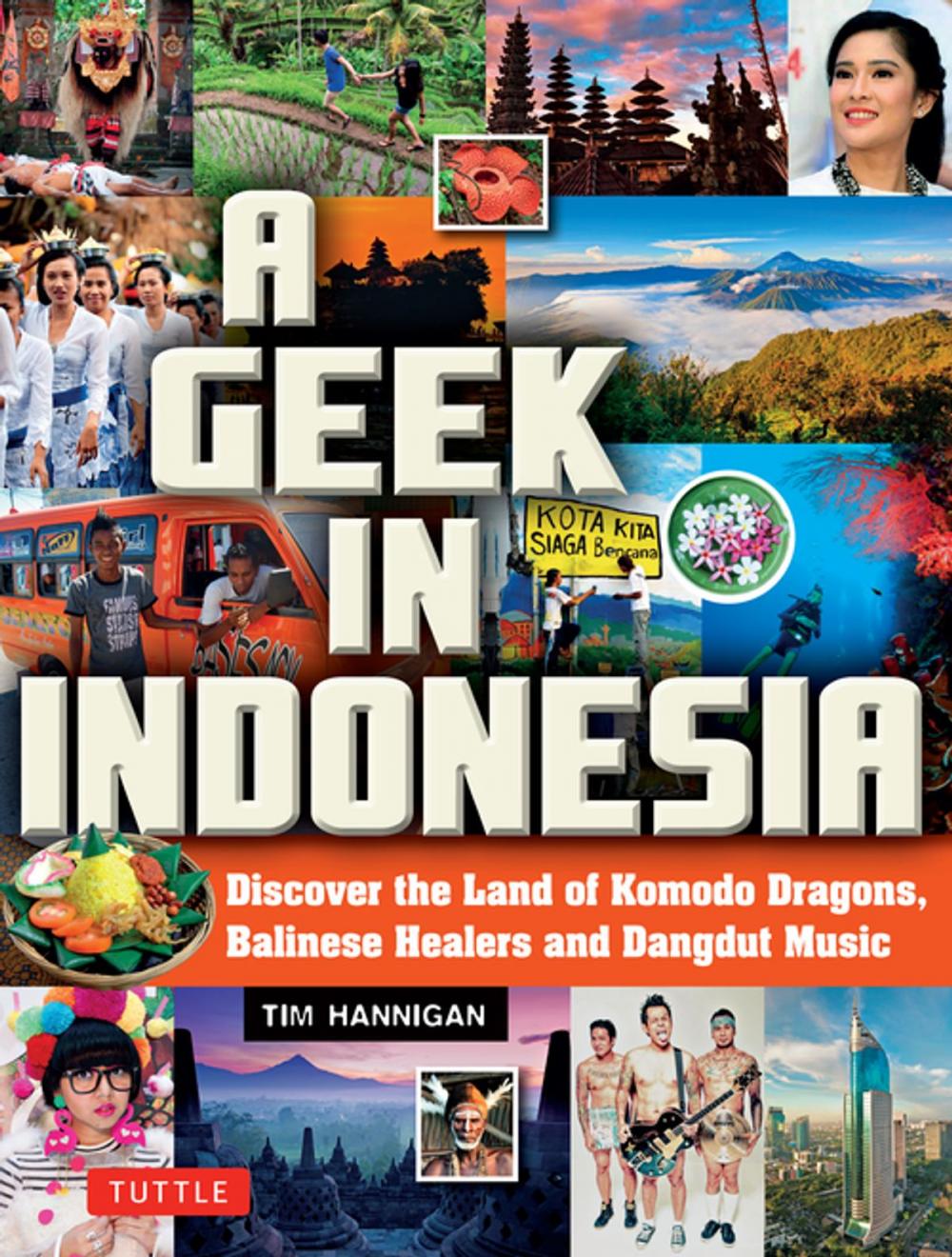 Big bigCover of A Geek in Indonesia