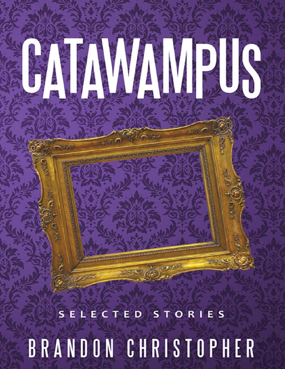 Big bigCover of Catawampus: Selected Stories