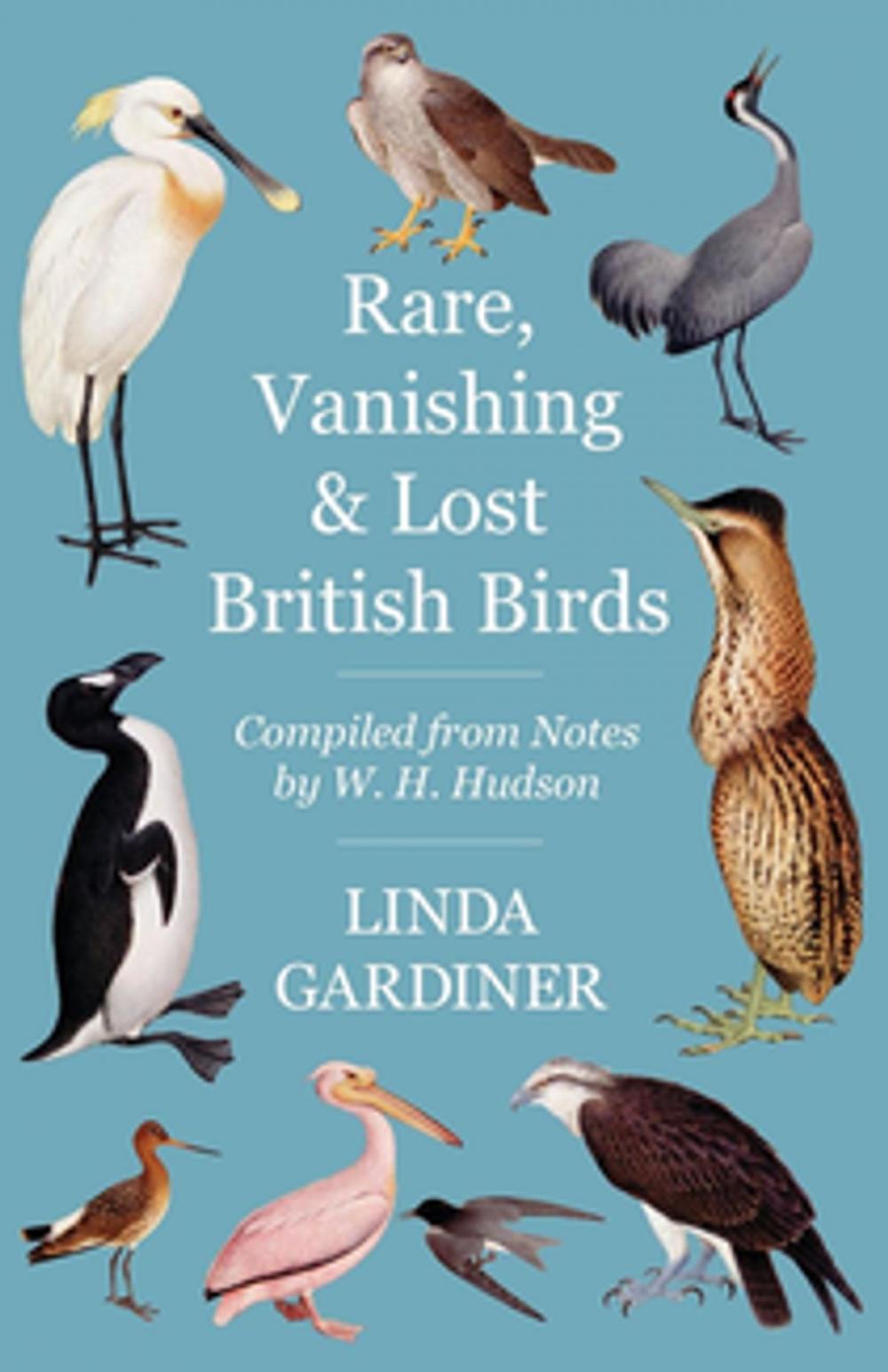 Big bigCover of Rare, Vanishing and Lost British Birds - Compiled from Notes by W. H. Hudson