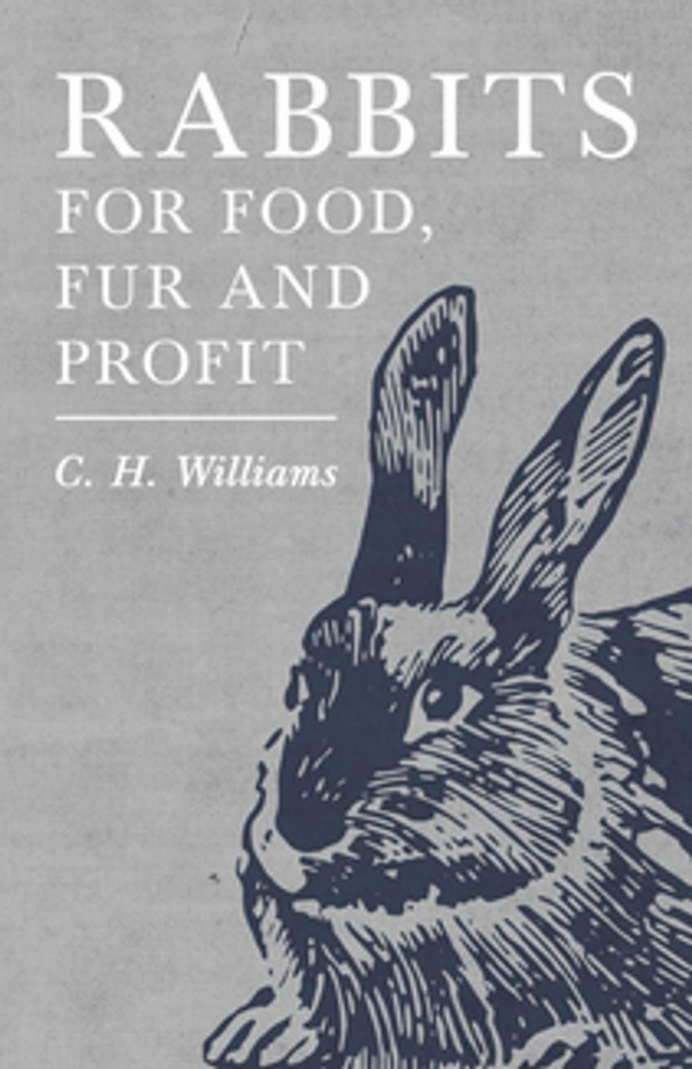 Big bigCover of Rabbits for Food, Fur and Profit