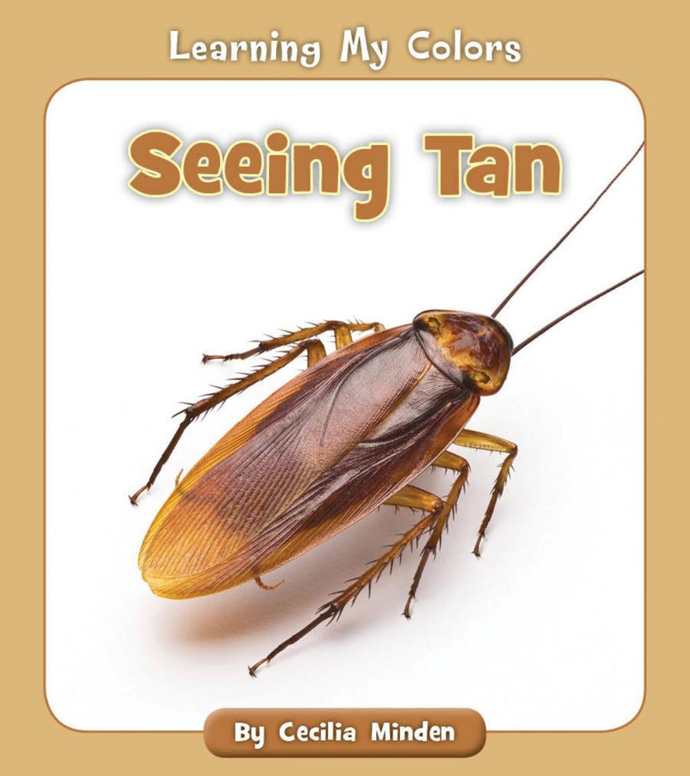 Big bigCover of Seeing Tan