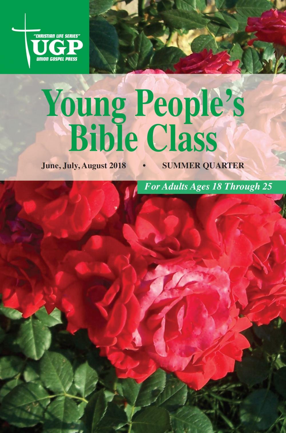 Big bigCover of Young People’s Bible Class