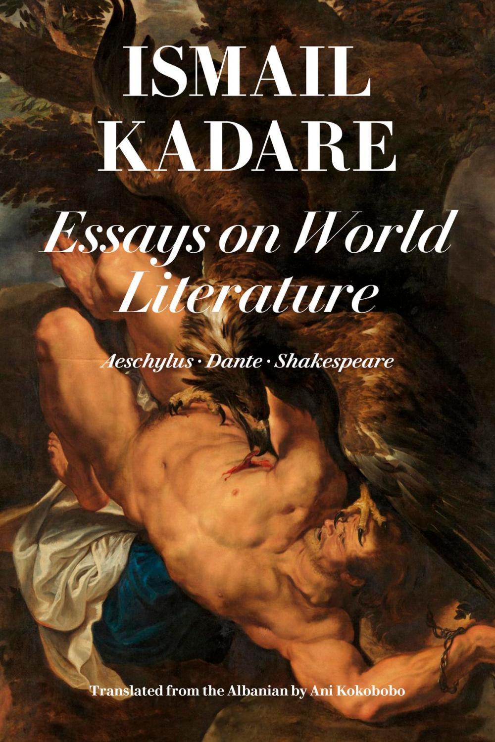 Big bigCover of Essays on World Literature