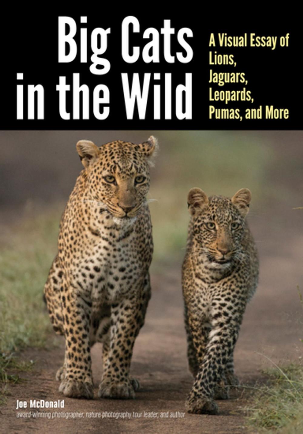 Big bigCover of Big Cats in The Wild