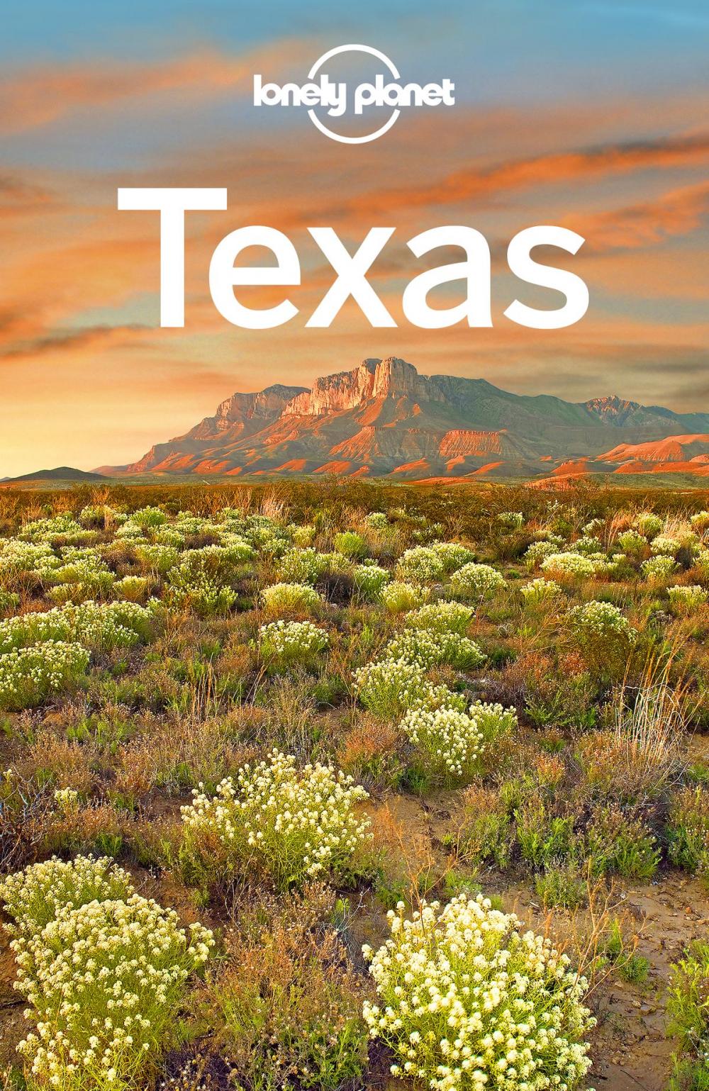 Big bigCover of Lonely Planet Texas