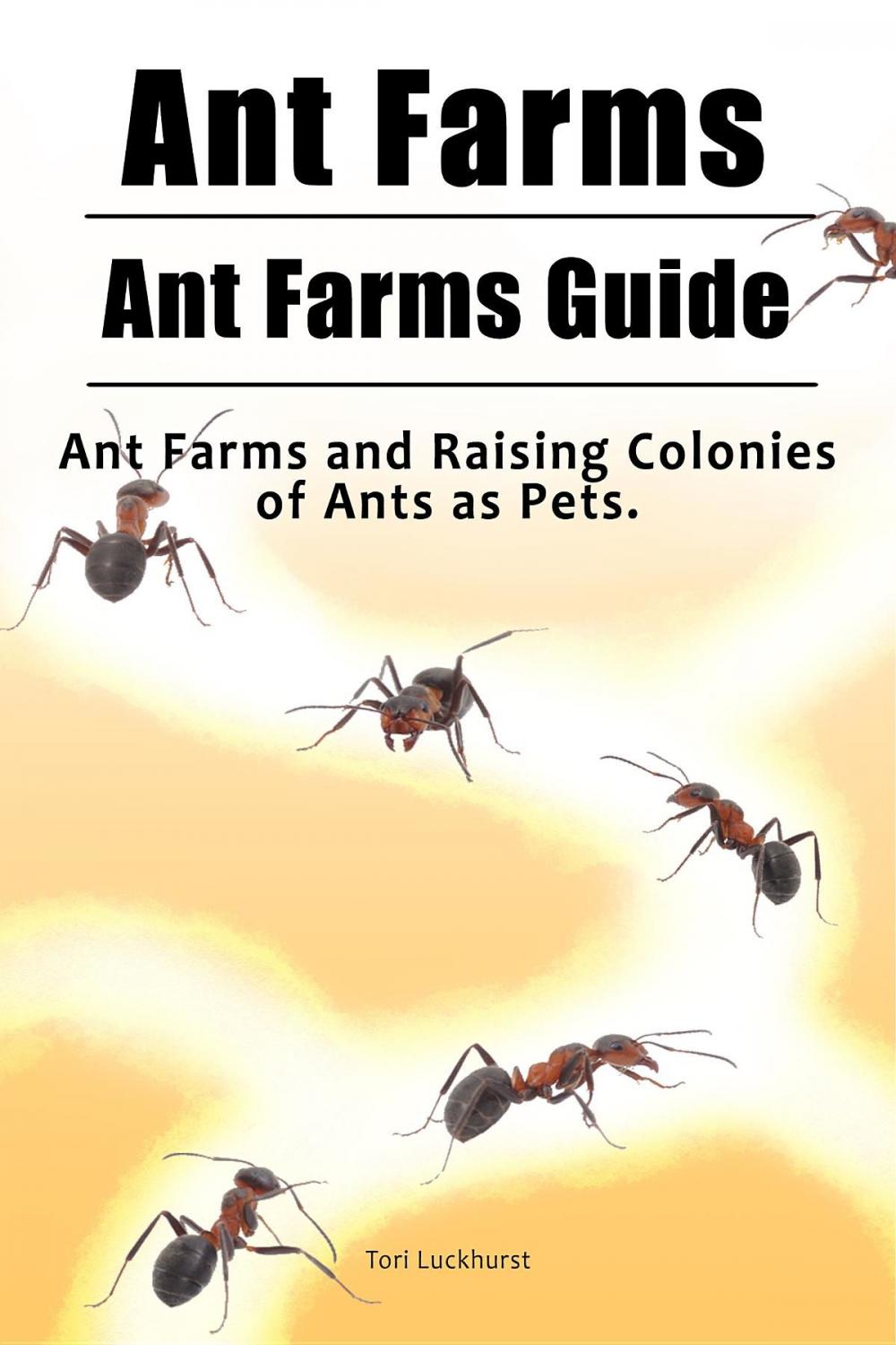 Big bigCover of Ant Farms. Ant Farms Guide. Ant Farms and Raising Colonies of Ants as Pets.