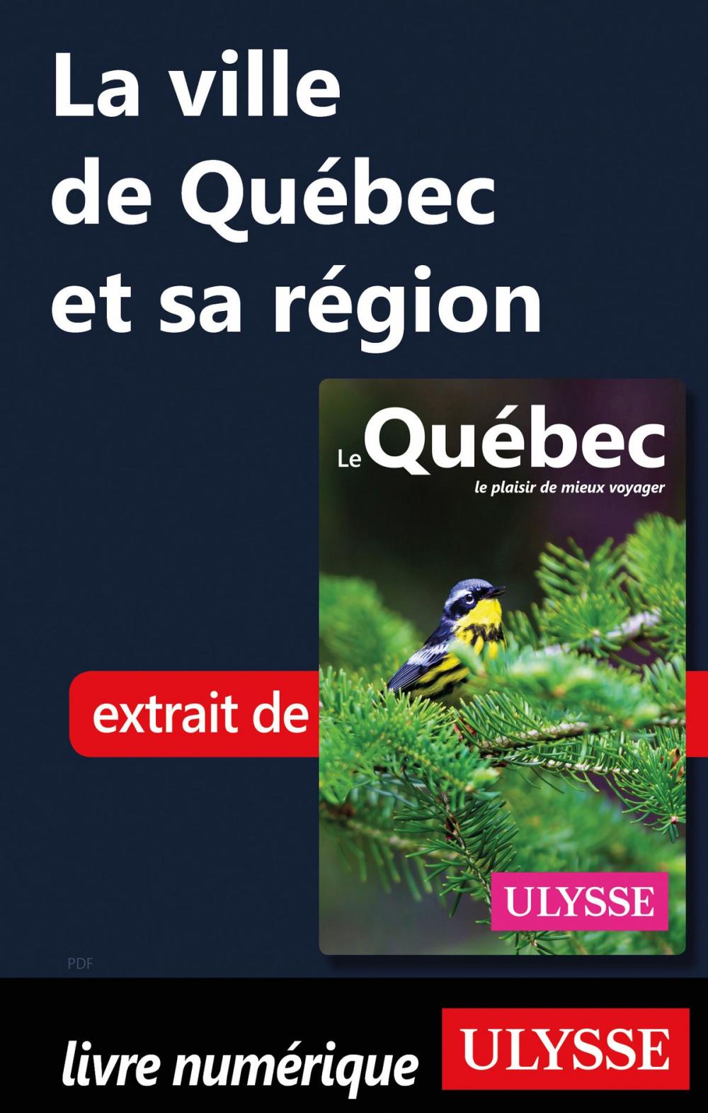 Big bigCover of La ville de Québec et sa région