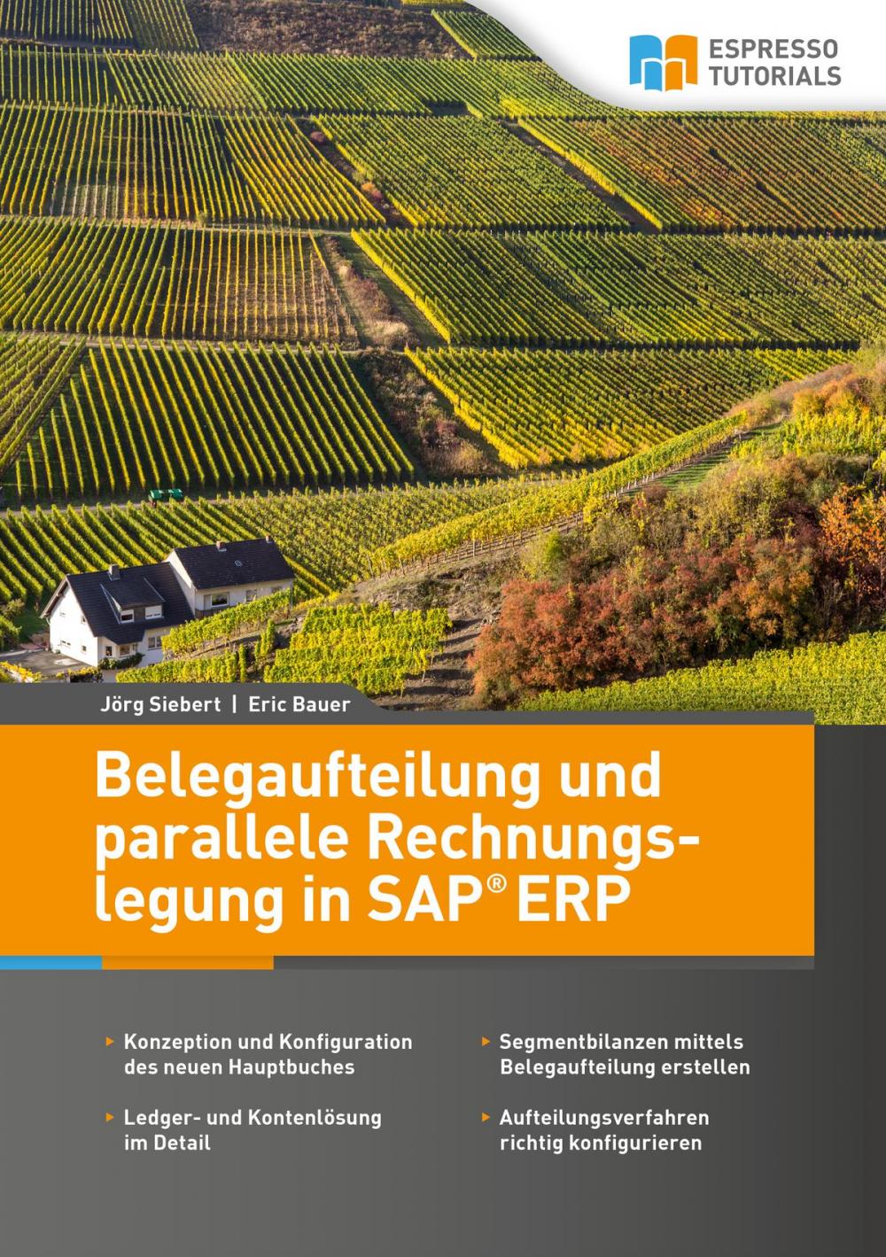Big bigCover of Belegaufteilung und parallele Rechnungslegung in SAP ERP