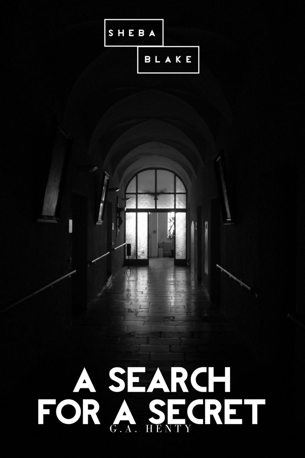 Big bigCover of A Search for a Secret