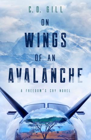 Cover of the book On Wings of an Avalanche by D.C. Rhind