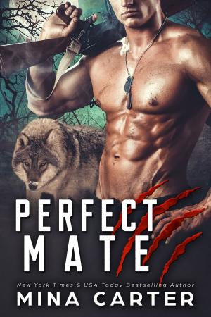 Cover of the book Perfect Mate by Kim Cresswell, M.K. Chester