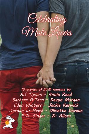 Cover of the book Celebrating Male Lovers by Mindy Klasky, Rebecca M. Senese, Dayle A. Dermatis, Leah Cutter, Leslie Claire Walker