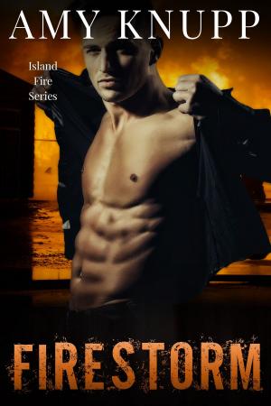 Cover of the book Firestorm by Amy Knupp, Emily Leigh, Natasha Lake