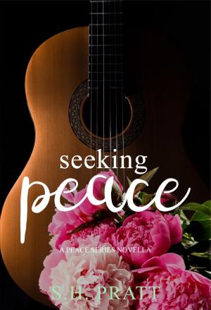 bigCover of the book Seeking Peace by 