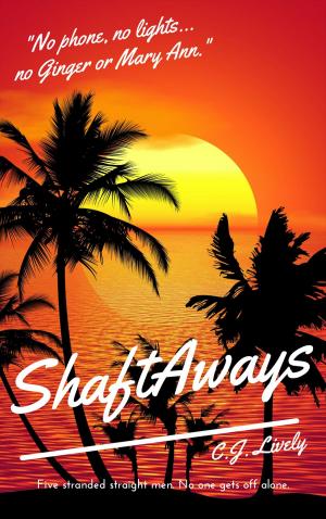 Cover of the book ShaftAways by Ellen Parker