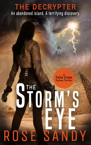 Cover of The Decrypter: The Storm's Eye