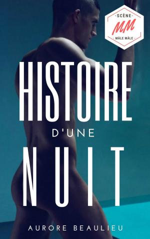 Cover of the book Plaisir d'une nuit by Aurore Beaulieu