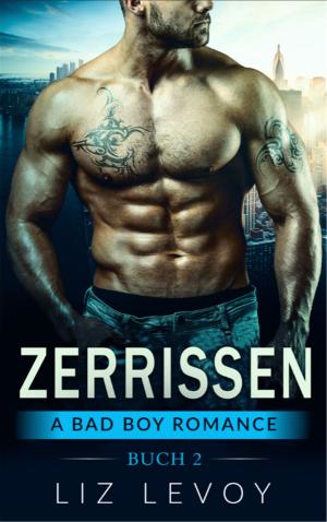 Cover of Zerrissen 2