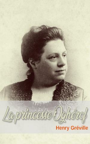Cover of the book La princesse Oghérof by Timothy Bullard