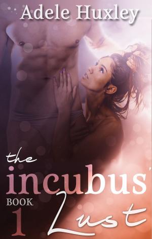 Book cover of The Incubus' Lust