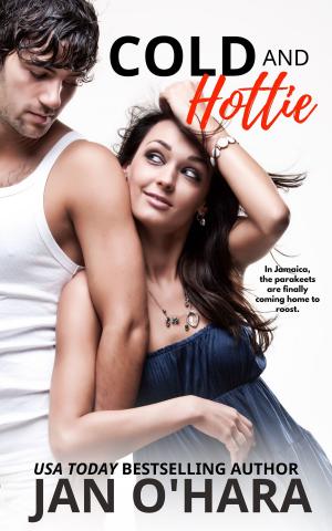Book cover of Cold and Hottie