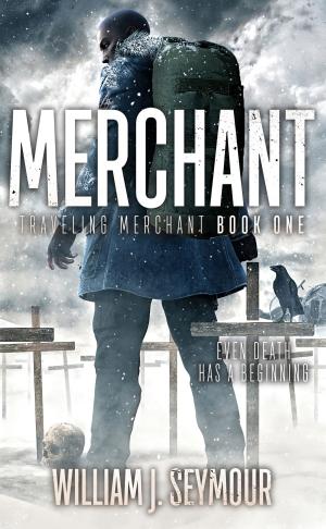 Cover of the book Merchant by Morgan Sheppard