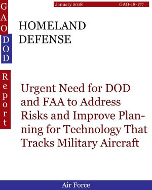 bigCover of the book HOMELAND DEFENSE by 