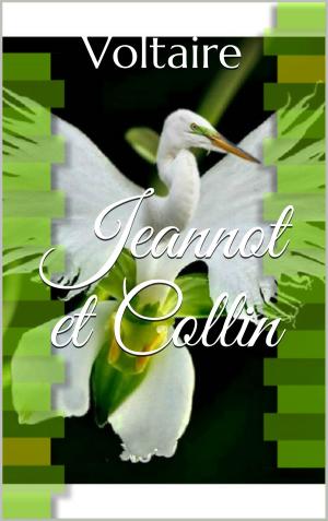 Cover of the book Jeannot et Collin by L. Robinson