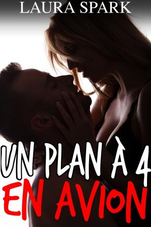 Cover of the book Un plan à 4 en Avion by Laura Spark
