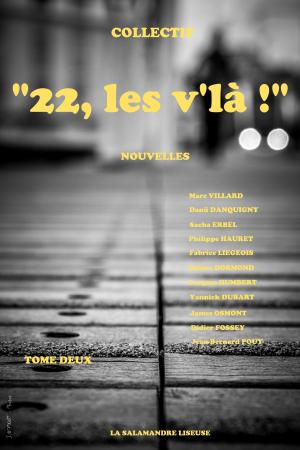 Book cover of " 22, les v'là ! "