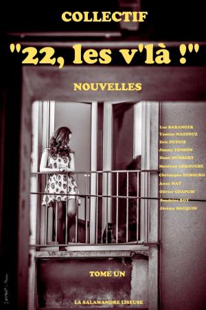 Cover of the book 22, les v'là! by Cay Reet