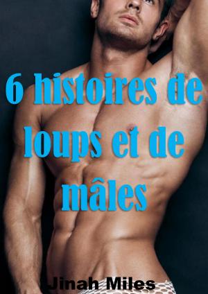 Cover of the book 6 histoires de loups et de mâles by River Mitchell