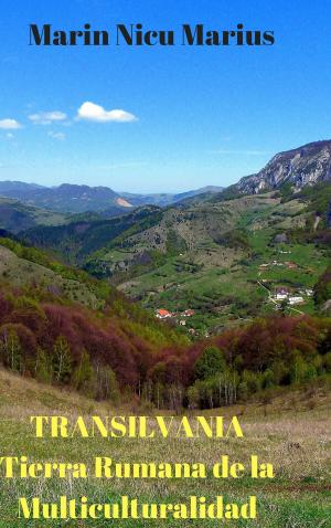 Cover of the book TRANSILVANIA by Luca Di Lorenzo